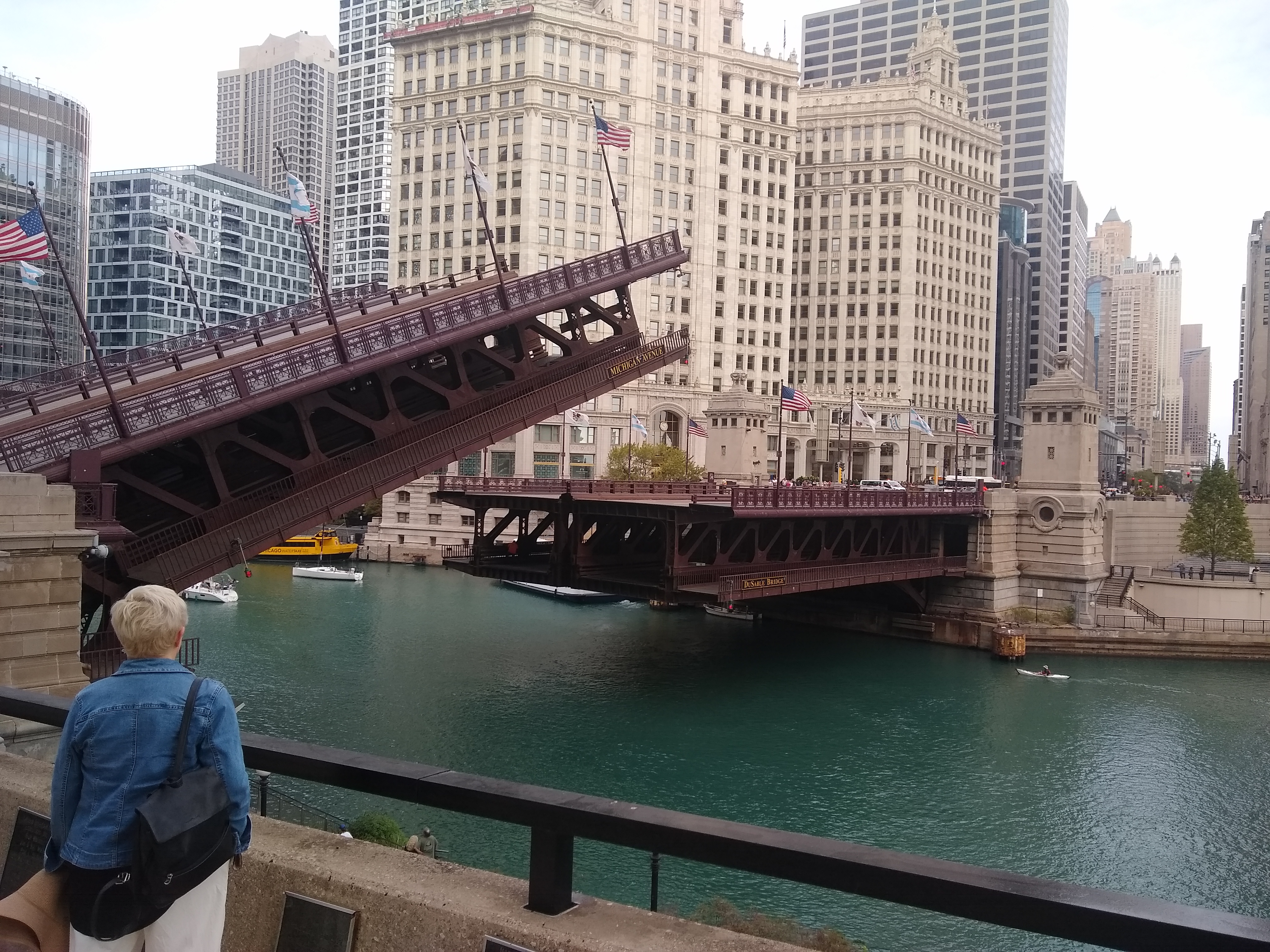 Wedding at Ping Tom Park